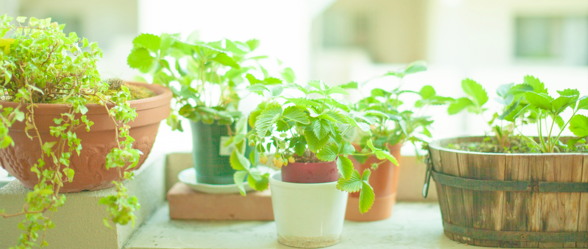 焼津市栄町、焼津郵便局停留所、内科、消化器内科